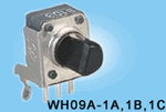 ̼ĤתλWH09A-1A.1B.1C